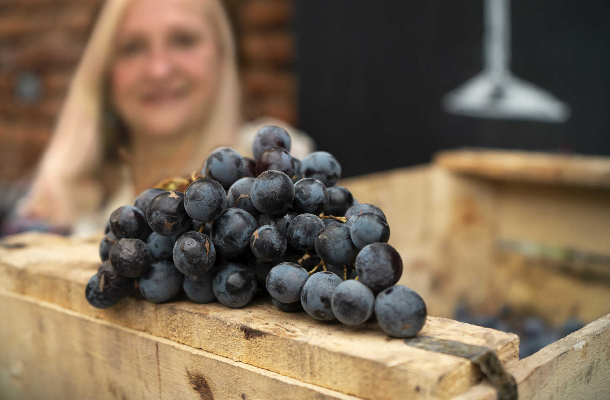 Qué significa soñar con uvas